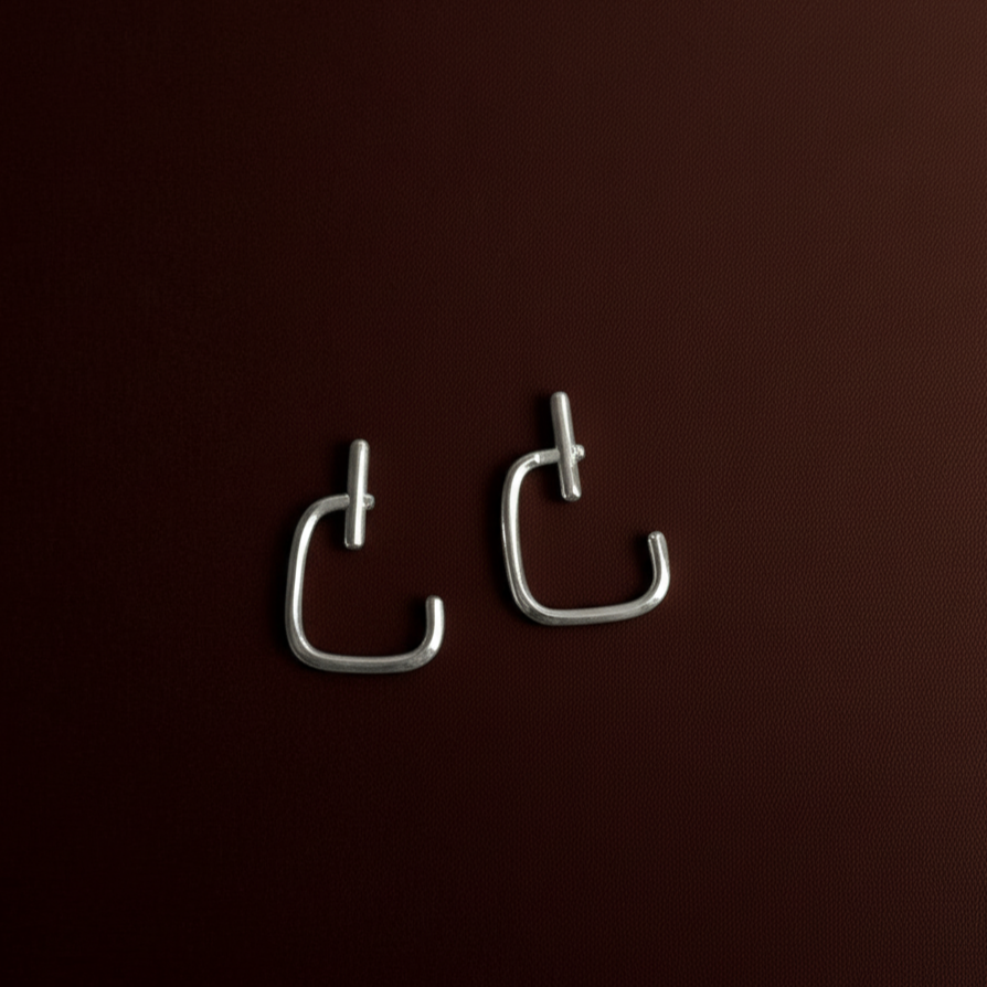 Pair of silver earrings on a dark brown background